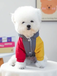1件装宠物衣服，适用于猫狗，可爱宠物服装，适合小型犬和幼犬，秋冬季保暖舒适，适合狗狗和探险家 - 灰色 - 灰色 - 查看 5