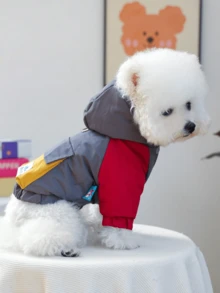 1件装宠物衣服，适用于猫狗，可爱宠物服装，适合小型犬和幼犬，秋冬季保暖舒适，适合狗狗和探险家 - 灰色 - 灰色 - 查看 4