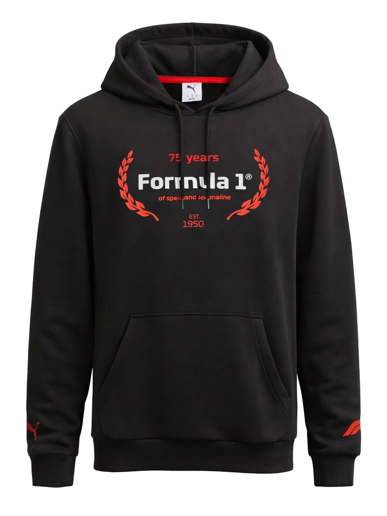 Puma F1 Essentials Fleece Men's Hoodie Black - Puma Black - View 1