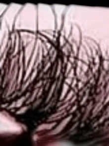 7对俄罗斯浓密型假睫毛，经典猫眼貂毛睫毛，D卷翘蓬松自然妆效，适合日常精致妆容。 - 自然纖長款 - 查看 6