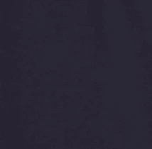 New Navy