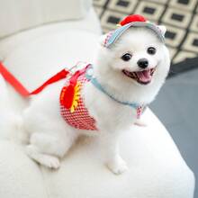 PETSIN 春夏宠物牵引绳套装，两件套，含帽子、可调节反光带（适用于猫狗）、透气柔软的宠物背心带，户外遛狗安全用品，适合中小型宠物 - 彩色 - 查看 5