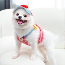 PETSIN 春夏宠物牵引绳套装，两件套，含帽子、可调节反光带（适用于猫狗）、透气柔软的宠物背心带，户外遛狗安全用品，适合中小型宠物 - 彩色 - 查看 10