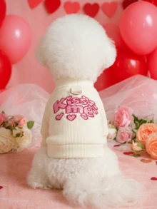 PETSIN 1pc Cat/Dog Universal Clothes, Embroidered Heart-Shaped Pattern Pet Sweater, Comfortable Spring Casual Pullover - White - View 1