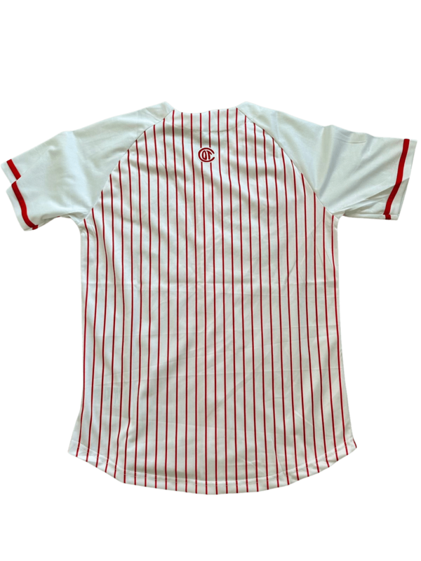 Camisa Estilo Beisbol Premium Diablos Rojos