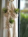 3pcs Air Plant Hanging Bag, Macrame Hanging Planter Basket, Suitable For Indoor, Farmhouse And Outdoor Decor, Home Decoration, Room Decor, Wall Decor, Birthday Graduation Gift