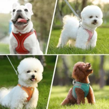 Bộ 1 Dây xích và đai phản quang cho mèo/chó - Áo vest lưới thoáng khí với dây xích nylon có đệm, phù hợp cho chó nhỏ đến trung bình; Vòng cổ cho thú cưng - Thiết kế chống nghẹt thở với hai vòng - Nhiều màu - Xem 6
