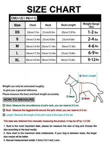 Pet Slogan Cartoon Bear Print Casual Everyday Wear Sweatshirt - Multicolor - View 12