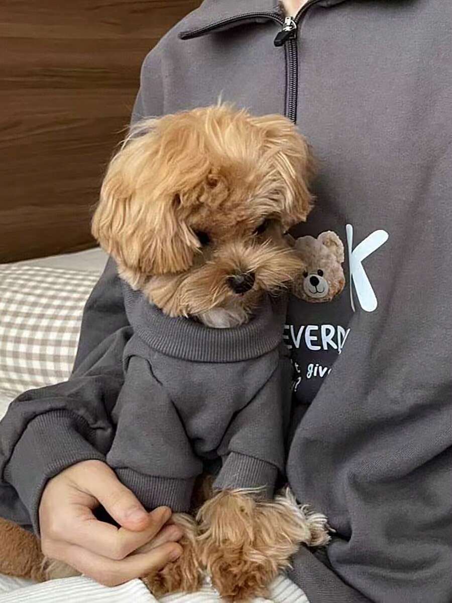 Pet Slogan Cartoon Bear Print Casual Everyday Wear Sweatshirt - Multicolor - View 1