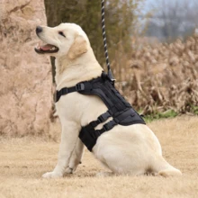 1pc Black Pet Chest And Back Strap, Simple Outdoor Training Adjustable Large Dog Vest For Walking And Training - Black - View 1