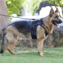 1pc Black Pet Chest And Back Strap, Simple Outdoor Training Adjustable Large Dog Vest For Walking And Training - Black - View 4
