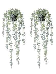 Spray de eucalipto blanco