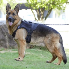 1pc Black Pet Chest And Back Strap, Simple Outdoor Training Adjustable Large Dog Vest For Walking And Training - Black - View 3
