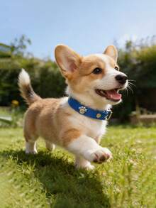 Vòng cổ cho chó mèo, vòng cổ cho thú cưng nhỏ, vòng cổ cho chó Teddy, phụ kiện thú cưng dễ thương có thể điều chỉnh. - Xanh đậm - Xem 4