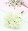 米色