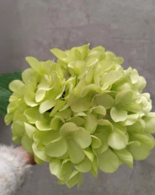 6/3 bông hoa giả thêu màu xanh nhạt có cuống, làm bằng nhựa, dùng để trang trí bàn làm việc, thích hợp cho các bữa tiệc văn phòng, đám cưới, cây giả, trang trí mùa xuân và mùa hè, trang trí sân vườn, trang trí nội thất, quà tặng Ngày của Mẹ, Ngày của Cha. - Xanh nhạt - Xem 3