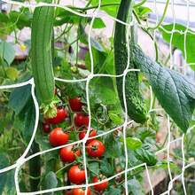 1pc Net Climbing Plant 5*15ft, DIY Plant Holder, Garden Planting Supplies, Garden Flower Plants Supplies Decor, Garden Balcony Gardening Beauty Planting Supplies, Planters & Container Accessories - White - View 2