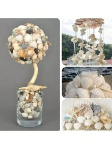 10PCS White Scallop Seashells, Size 4-5 Inches (10.16-12.7cm) - Natural Seashells, Suitable For DIY Crafts, Painting, Beach Wedding Decor And Home Decoration - Large Pack Of Smooth Shiny Seashells, Great For Handmade Crafts, Coastal Themed Decor And Shell Jewelry Making - White - View 7