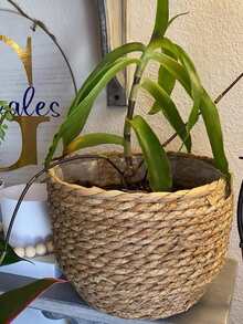 3PCS Straw Pot, Minmalist Soiid Coior Plant Container For Home - brown - View 4