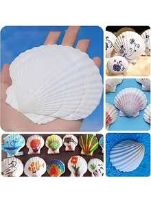 10PCS White Scallop Seashells, Size 4-5 Inches (10.16-12.7cm) - Natural Seashells, Suitable For DIY Crafts, Painting, Beach Wedding Decor And Home Decoration - Large Pack Of Smooth Shiny Seashells, Great For Handmade Crafts, Coastal Themed Decor And Shell Jewelry Making - White - View 3