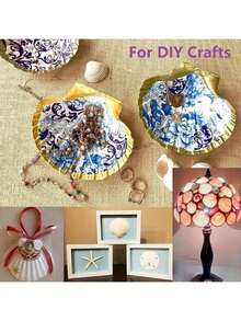 10PCS White Scallop Seashells, Size 4-5 Inches (10.16-12.7cm) - Natural Seashells, Suitable For DIY Crafts, Painting, Beach Wedding Decor And Home Decoration - Large Pack Of Smooth Shiny Seashells, Great For Handmade Crafts, Coastal Themed Decor And Shell Jewelry Making - White - View 5