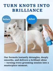 PETSIN Dog Detangling & Conditioning Spray – 5 Fl Oz, Leave-In Conditioner For Dogs & Cats, Removes Knots & Tangles, Softens & Adds Shine, Ocean Breeze Scent - View 2