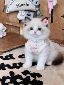 1pc French Country Style Cherry Print Pet Dress With Flutter Sleeves For Dogs And Cats - White - View 4