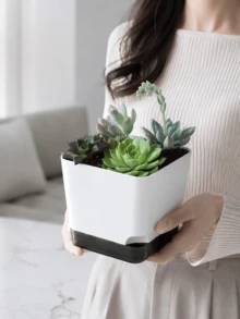 Haus Hana 8pcs Self-Watering Succulent Plant Pots, Minimalist Square Plastic Flower Planters, Small Desktop Plant Pots With Drainage For Cactus, Herbs, Home Office Windowsill Decor, Leak-Proof & Breathable Nursery Pots, Great For Housewarming, Birthday Gifts, Aesthetic Gardening Essentials For Everyday & Special Occasions - multicolor - View 2
