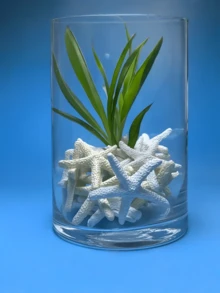 1.18英寸树脂海星装饰品，可爱迷你海星，适用于婚礼、节日装饰、家居装饰和DIY工艺品 - 星星 - 查看 5