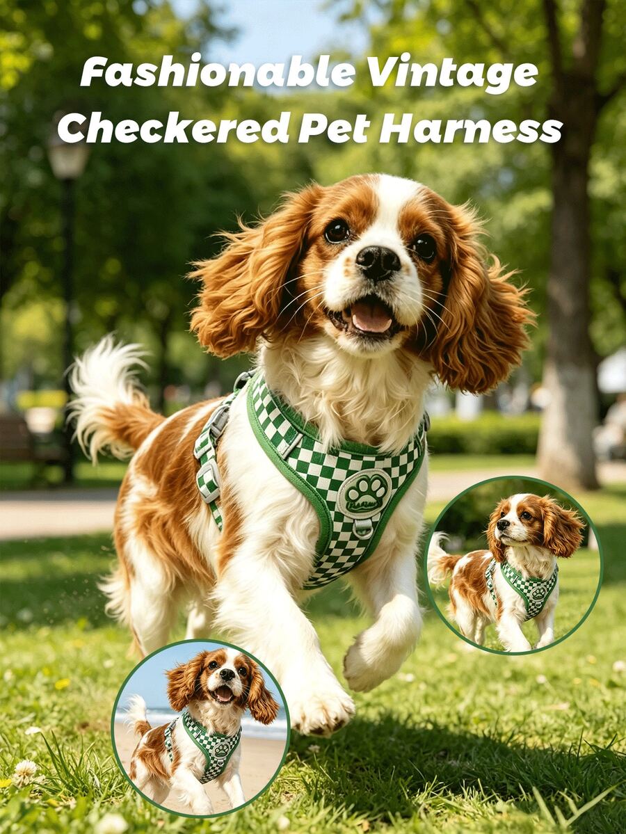 PETSIN Nuevo estilo de primavera Conjunto de arnés y correa a cuadros para perros con malla suave y transpirable, anillo circular trasero para estabilidad, diseño antirroces, ajuste ajustable para perros pequeños - Elegante y cómodo para paseos diarios y entrenamiento. La cuerda de tracción de la misma serie de colores está equipada con anillos para bolsas de basura - Verde - Ver 1