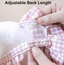 Adjustable Washable Reusable Pet Belly Band Panties With Lace Trim, Comfortable Breathable Dog Physiological Pants To Prevent Harassment And Pregnancy, Can Be Used With Diapers/Pads - Multicolor - View 4