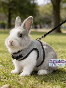 1 pieza Arnés multicolor para conejo con correa, correa ajustable para el pecho de conejo, conjunto de collar y correa linda para mascotas para animales pequeños como conejo, hurón, lagarto, cobaya, hámster - Multicolor - Ver 2
