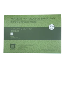 寶紅 100% 純棉專業水彩紙，20 張，藝術水彩本，適合藝術家和學生 - 300gsm - 查看 10