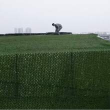 1 Roll Camouflage Net, Jungle Hunting Military Decorative Shade, IUNIO Camouflage Net,3x6m Large Roll Coarse Linen Camouflage Waterproof Netting Material, Suitable For Hunting Blinds, Dinosaur Theme Parties, Camping, Shooting, Sunshade - Multicolor - View 3