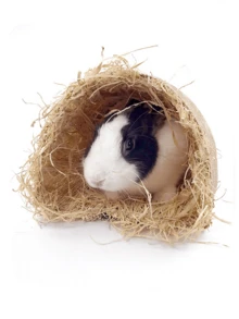 1 buah Terowongan Hewan Peliharaan Lipat Multifungsi, Tempat Persembunyian Lengkung Hewan Kecil & Mainan Bermain untuk Hamster & Kelinci, Terowongan Bermain Lembut untuk Penggunaan Dalam & Luar Ruangan - Khaki - View 2