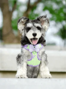 Summer Cute Small Dog Leash Set - Purple Daisy Pattern, Soft & Lightweight, Adjustable Buckle, Easy To Wear, Breathable Mesh Suitable For Puppies And Small Dog Breeds - Mauve Purple - View 5