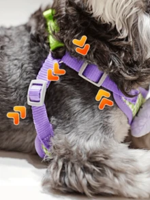 Summer Cute Small Dog Leash Set - Purple Daisy Pattern, Soft & Lightweight, Adjustable Buckle, Easy To Wear, Breathable Mesh Suitable For Puppies And Small Dog Breeds - Mauve Purple - View 6