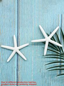 4/6/8/10pcs Natural Conch Shell Five Finger Tyrant Mantis Starfish Specimen Mediterranean Platform Decoration Ocean Decoration Wall Decoration Series Home Decoration - multicolor - View 5