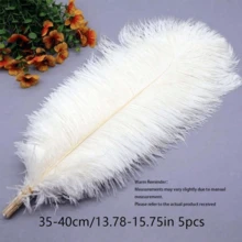 5pcs 20-40cm Artificial Ostrich Feathers, Black And White, DIY Craft Decorative Feathers, Suitable For Christmas, Weddings And Gift Packaging - multicolor - View 10