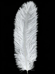 5pcs 20-40cm Artificial Ostrich Feathers, Black And White, DIY Craft Decorative Feathers, Suitable For Christmas, Weddings And Gift Packaging - multicolor - View 6