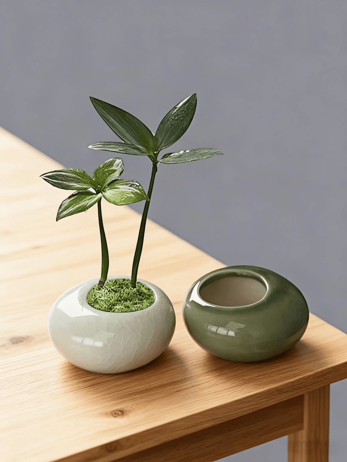 Madebyblanc 1个小型圆形扁平冰裂釉迷你花盆,适用于绿色植物、竹子、松树,酒店花器,创意陶瓷花盆带孔,礼品,生日,毕业,花园装饰,户外,花盆,园艺 - 多色 - 查看 1