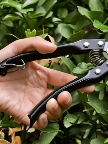 Garden Pruning Shears Multifunctional Gardening Scissors For Flower Fruit Tree Branches Trimming Landscape Hand Tool - multicolor - View 5