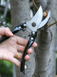 Garden Pruning Shears Multifunctional Gardening Scissors For Flower Fruit Tree Branches Trimming Landscape Hand Tool - multicolor - View 6