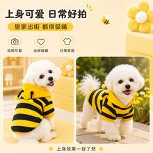 PETSIN 1件宠物运动上衣，蜜蜂造型宠物服，适合所有季节和体重低于8公斤的宠物 - 彩色 - 查看 5
