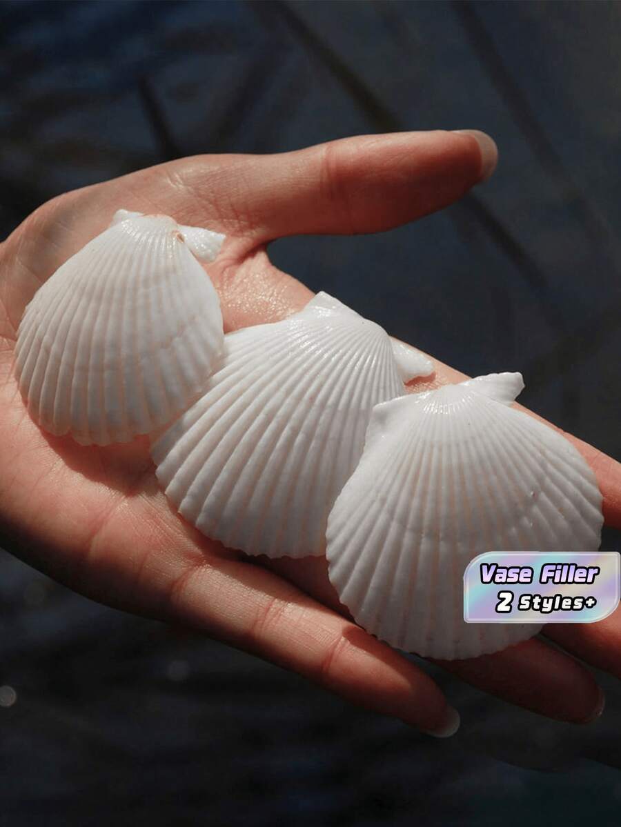 25件/40件 天然扇貝殼 白色海貝殼 來自海灘 DIY家居裝飾 魚缸水族造景裝飾品 婚禮派對桌飾 手作工藝材料 禮品 - 白色 - 查看 1