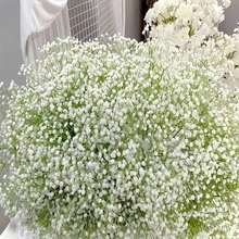 180朵人造滿天星花束，仿真滿天星，人造花，滿天星植物，滿天星花，人造滿天星花束，適用於婚禮新娘花束、DIY花藝裝飾、桌面中心裝飾 - 白色 - 查看 9