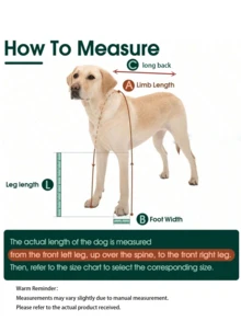 Dog Suspender Boots, Anti-Slip Anti-Fall Anti-Water Dog Shoes Leg Protector, For Small/Medium/Large Dogs Paw Protection, Adjustable Pet Outdoor Walking Shoes - Black - View 3