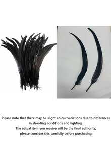 100 Pieces Rooster Tail Feathers, Suitable For Carnival Party Performance Costumes Decoration, Diy Headpiece Feathers, Wedding Decoration Headpiece Feathers - Multicolor - View 14