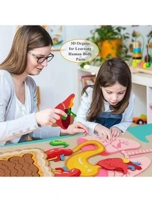 "Interactive Body Anatomy Learning Set: Colorful Felt Organs For Kids " - Multicolor - View 5