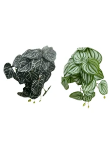 Reptile Plants For Terrariums, Amphibian Habitat Decorations, Artificial Hanging Plants With Suction Cups, Artificial Plants For Gecko Color-Changing Dragon Snake Turtle Tank Accessories - Multicolor - View 2